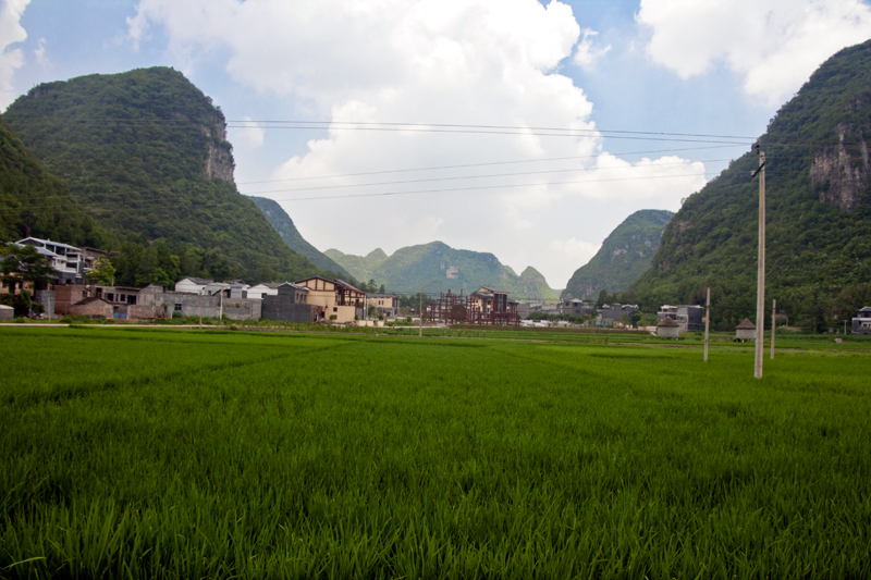 _MG_0054.JPG