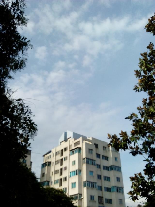 psb (102).jpg