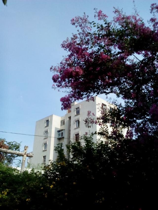 psb (101).jpg