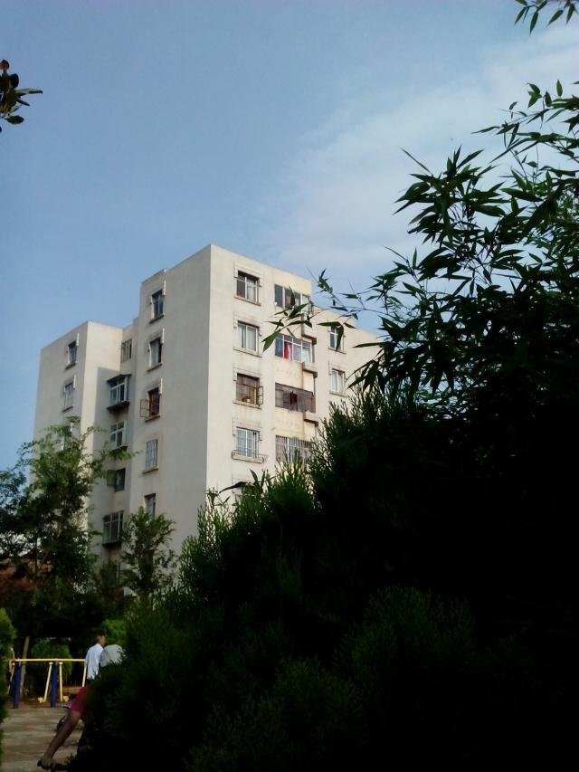 psb (100).jpg