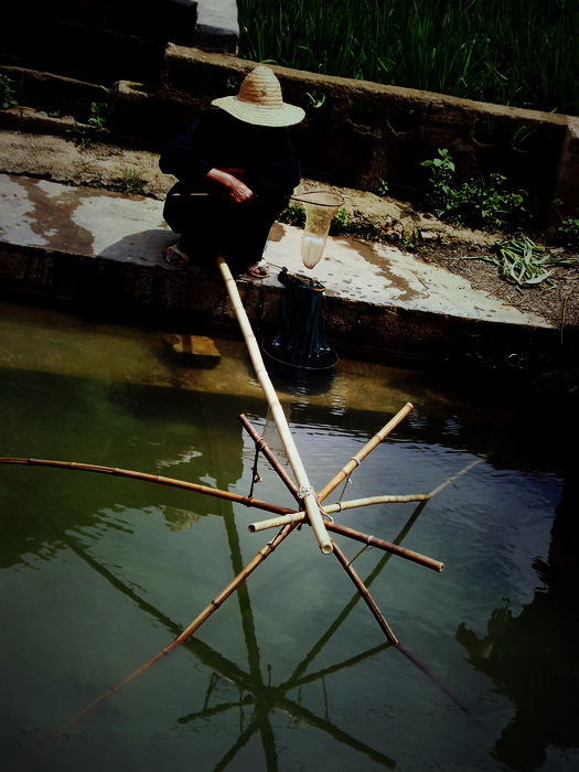 DSCF7659.jpg