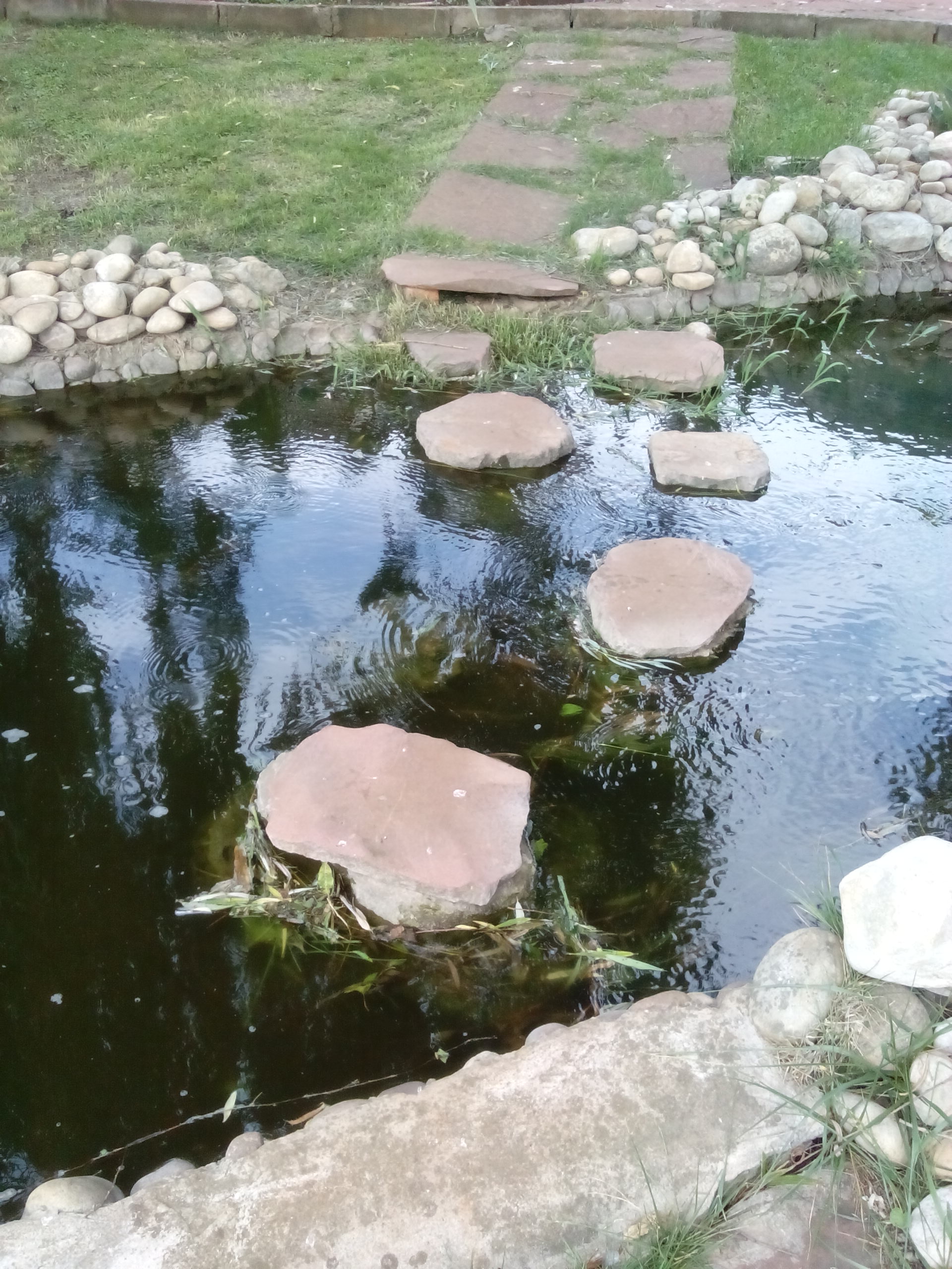 IMG_20130609_103554.jpg