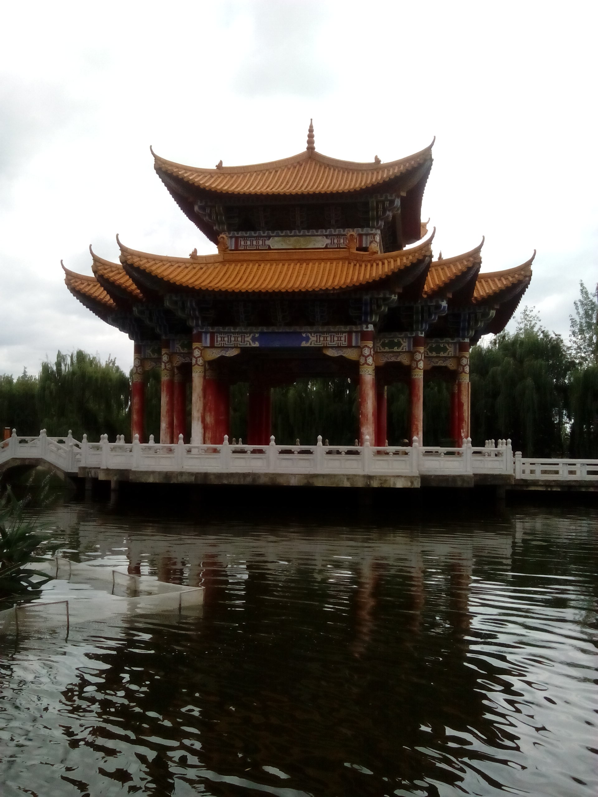 IMG_20130609_104130.jpg