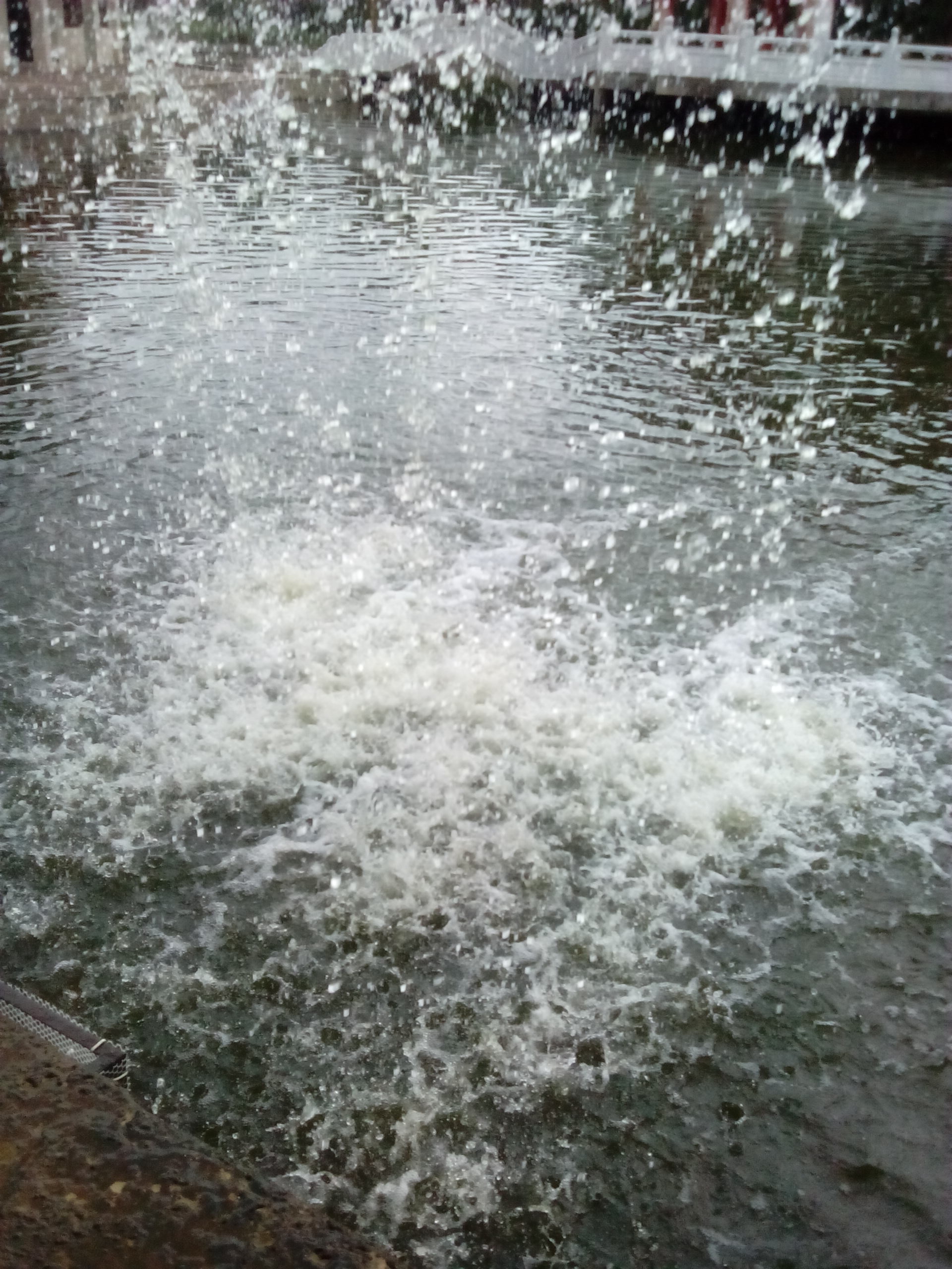 IMG_20130609_104029.jpg