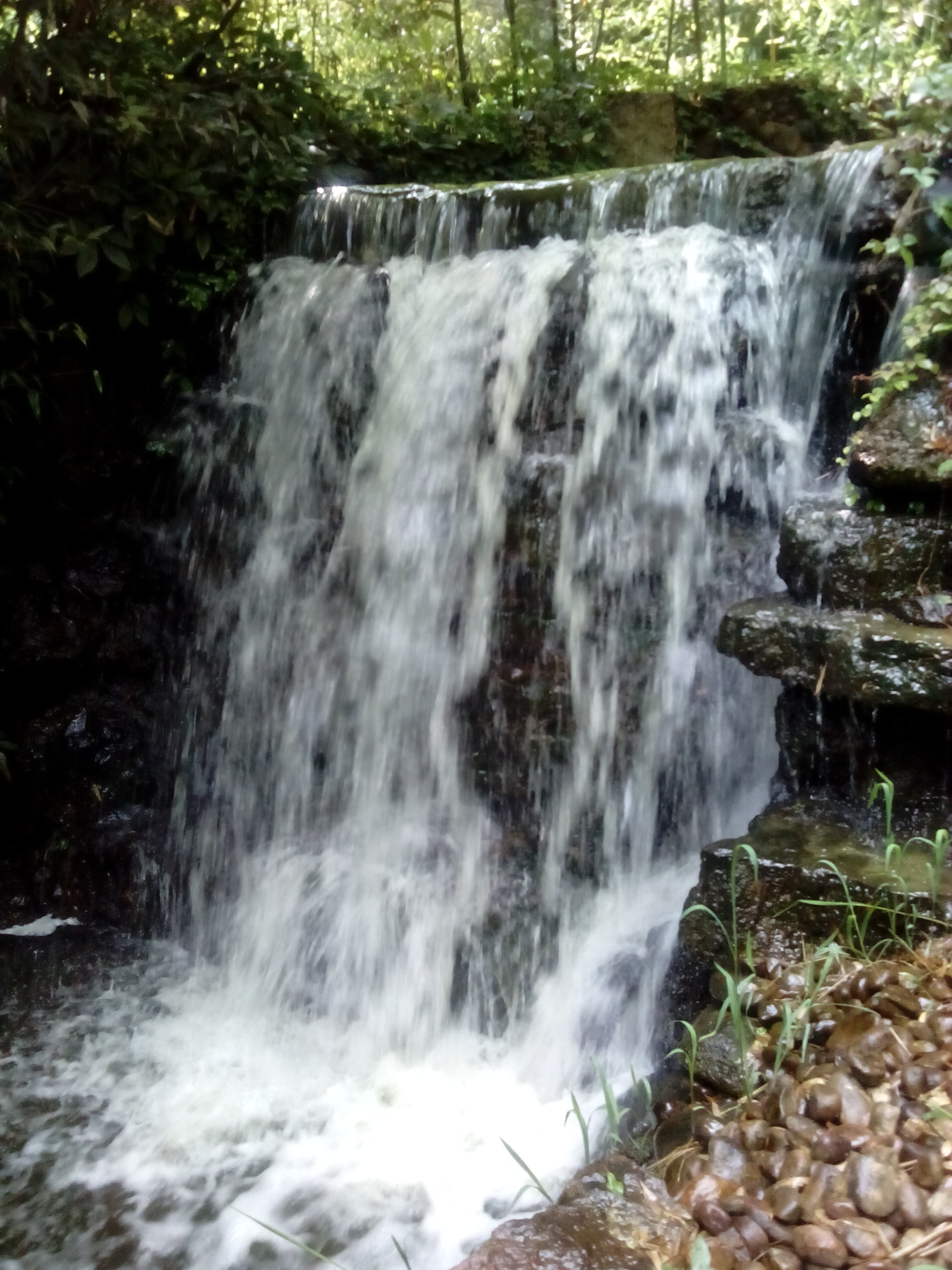 IMG_20130713_102707.jpg