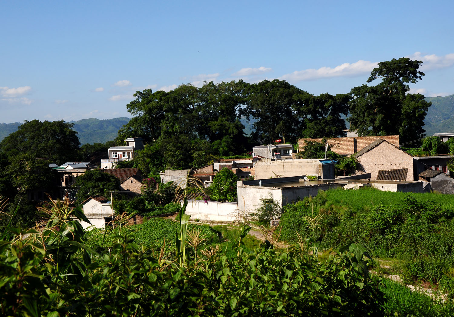 DSC_0166.JPG