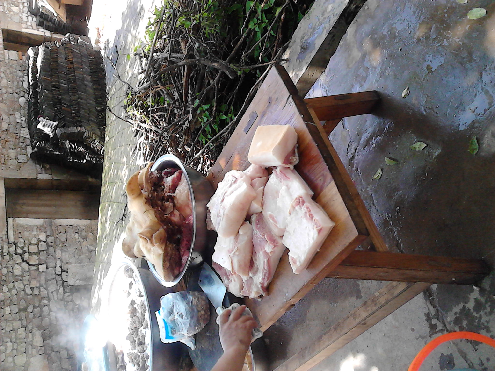 IMG_20130731_124651.jpg