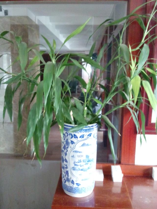 psb (46).jpg