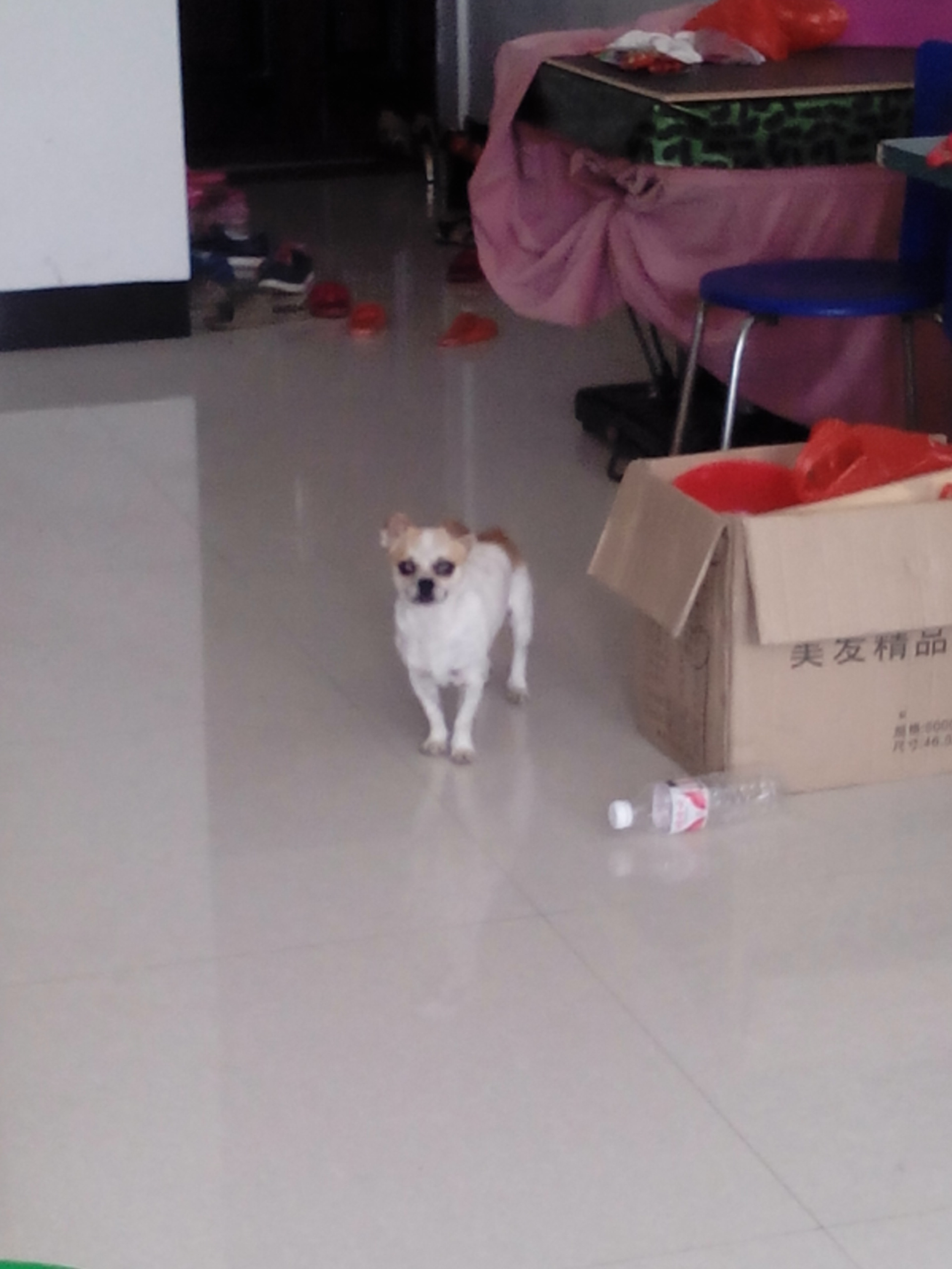 IMG20130814130911.jpg