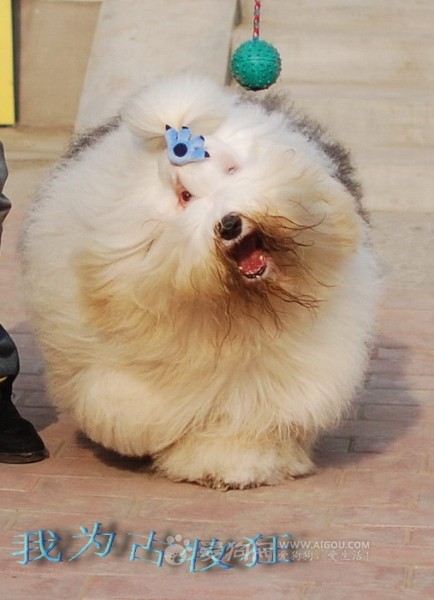 98560585_snap_m.jpg