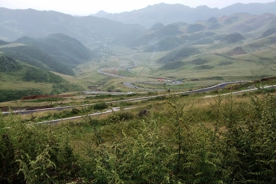 DSCF6297.jpg