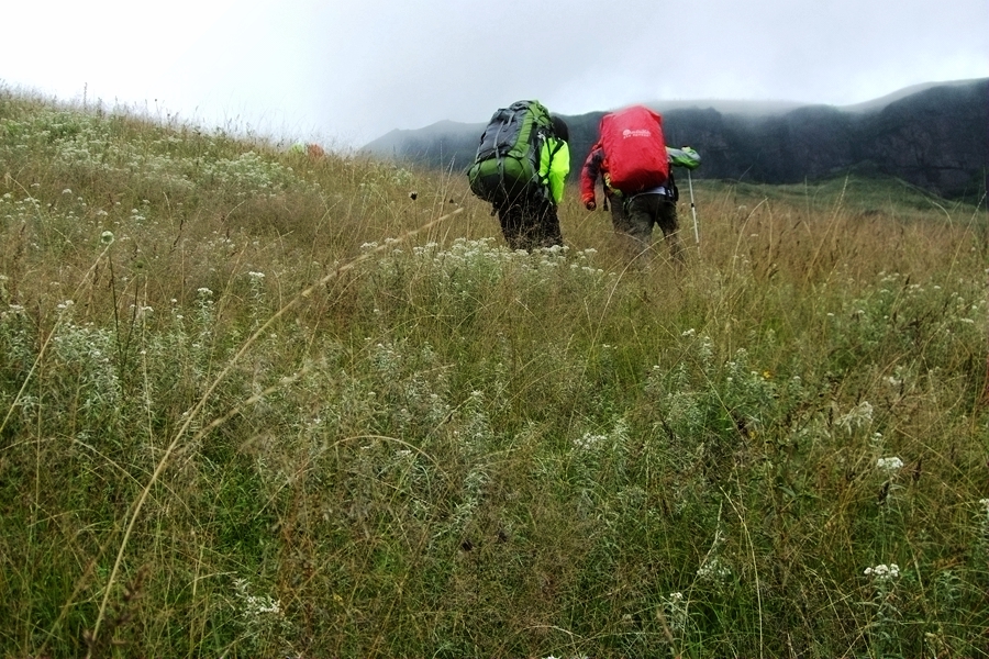 DSCF6318.jpg