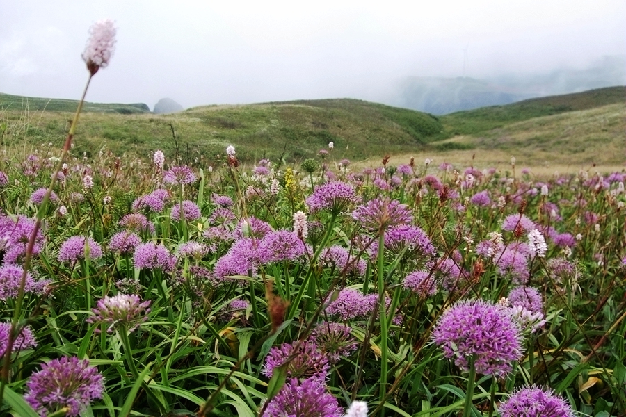 DSCF6358.jpg
