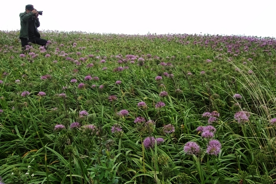 DSCF6367.jpg