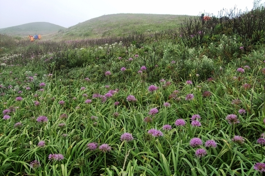 DSCF6368.jpg