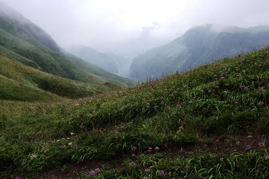 DSCF6384.jpg