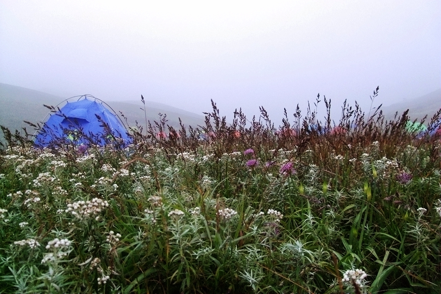 DSCF6388.jpg