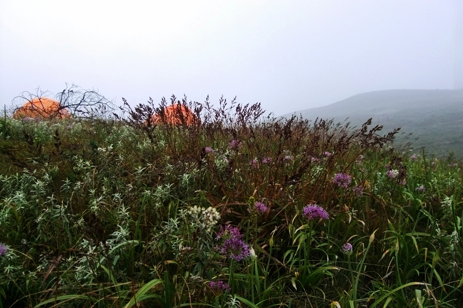 DSCF6397.jpg