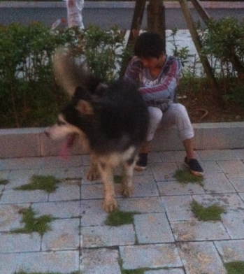 QQͼ20130903084039.png