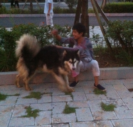QQͼ20130903084016.png
