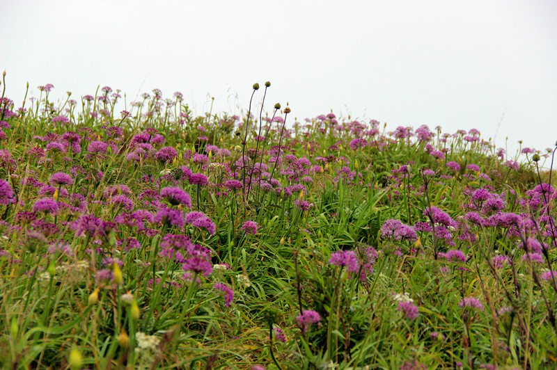 psb (9).jpg