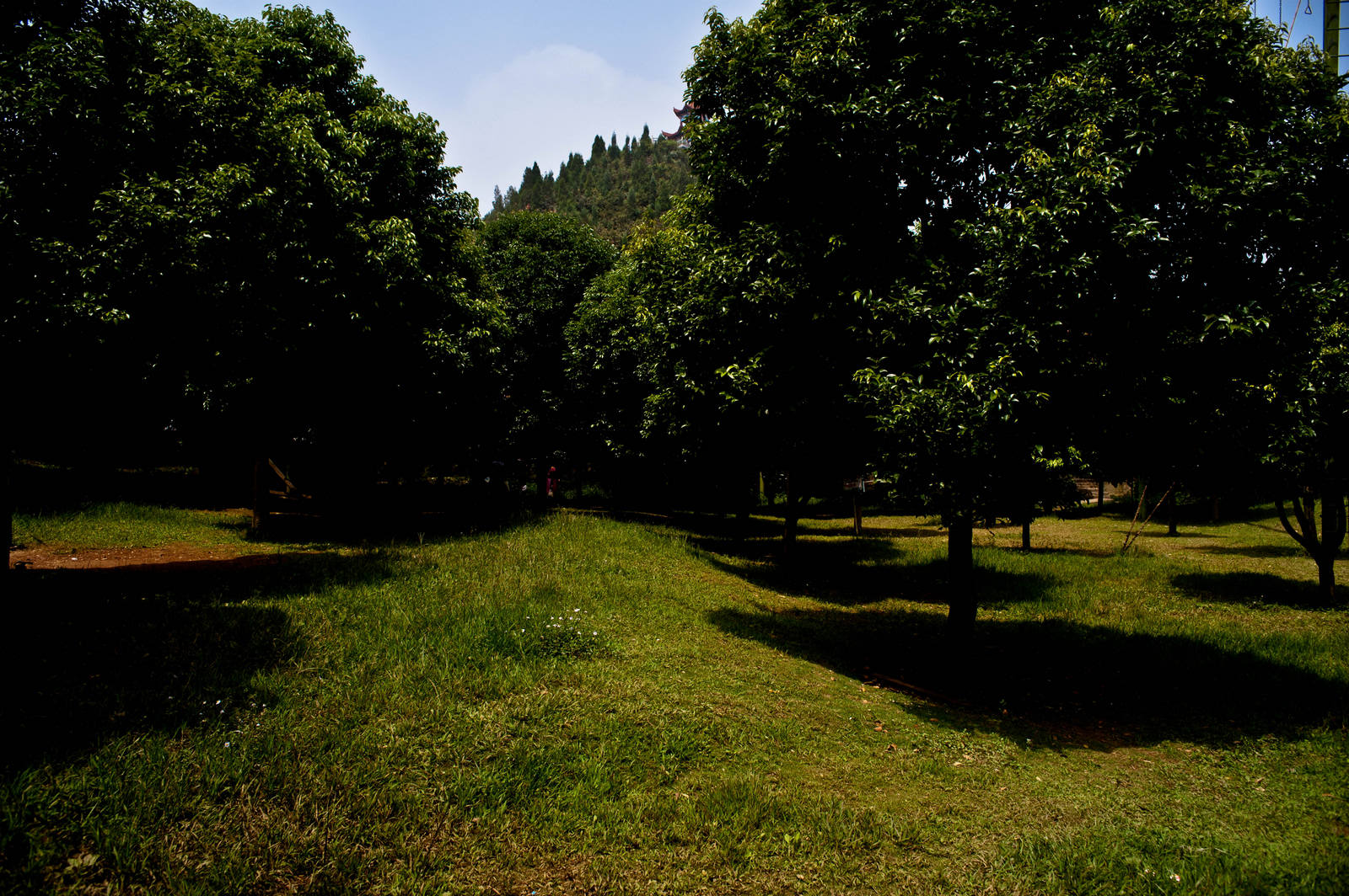 _DSC7664.jpg