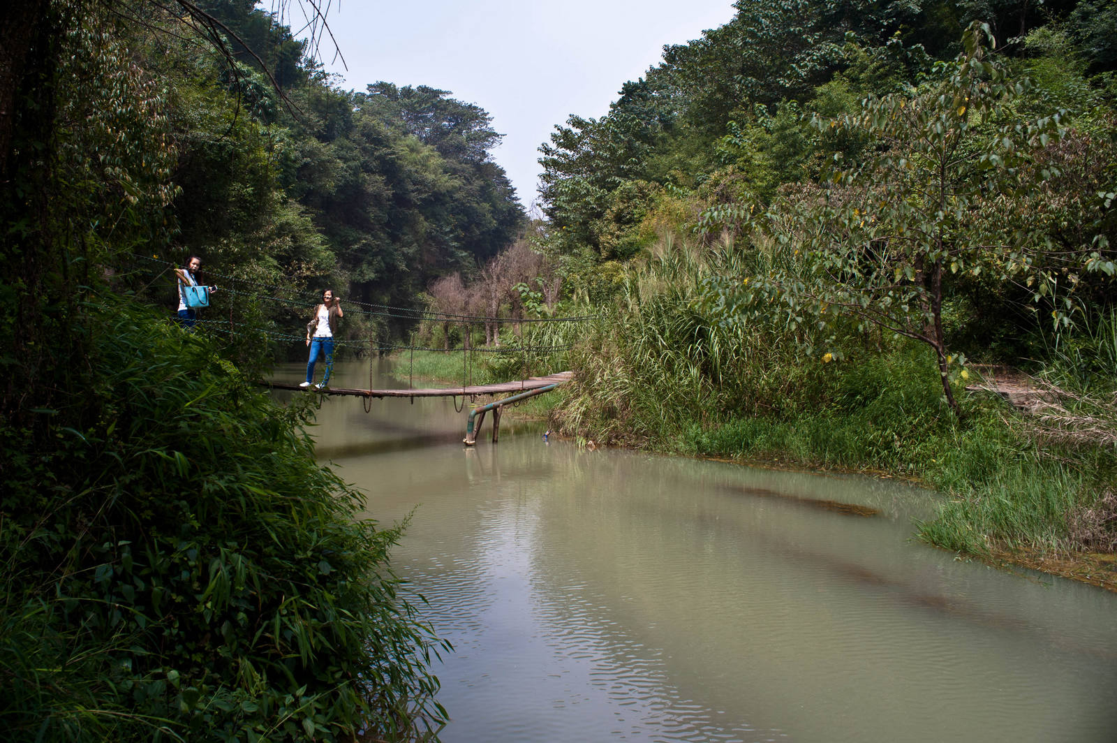 _DSC7633.jpg