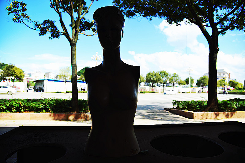 DSC_8224_.jpg