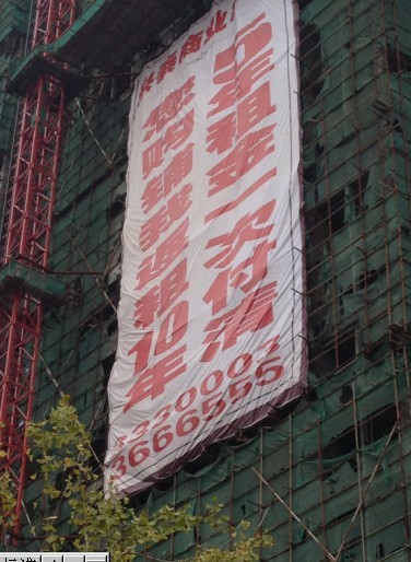 ʮ귵⣬5