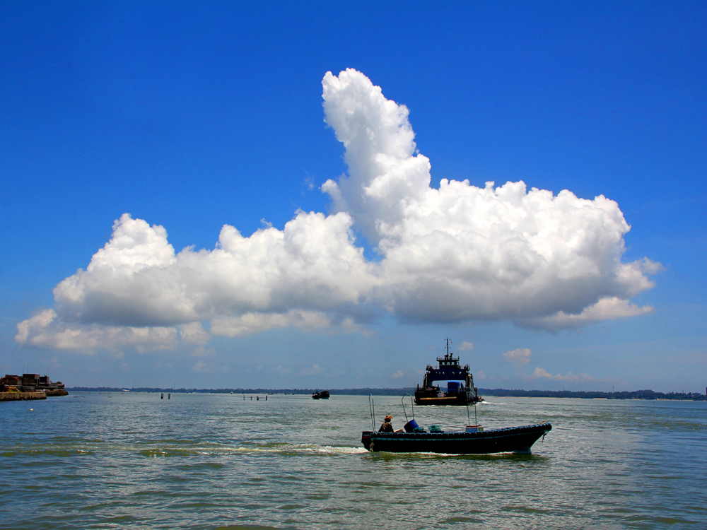 IMG_20131002_155154.jpg