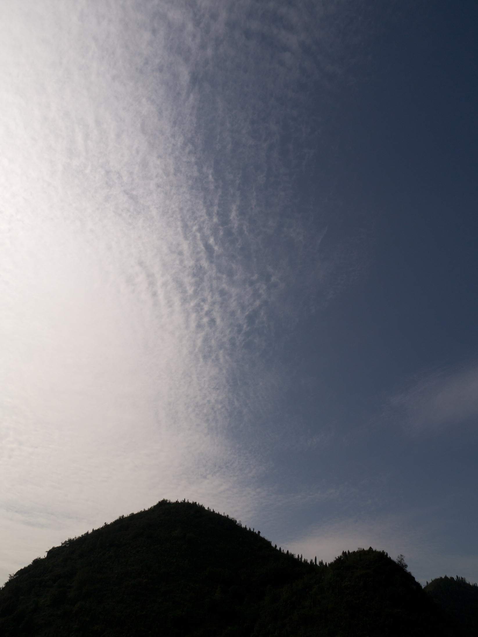 P1040513g.jpg