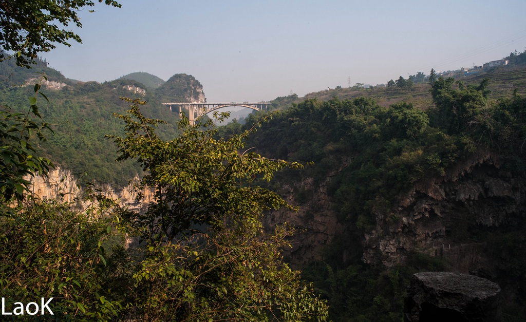 _DSC7802-1.jpg