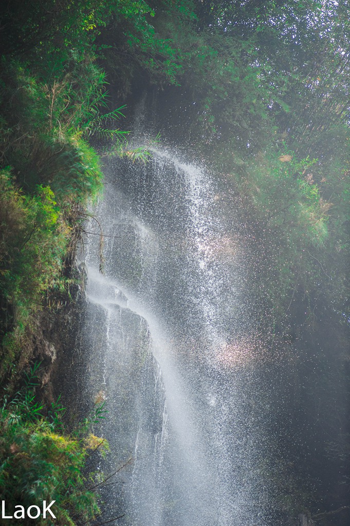 _DSC7844-1.jpg