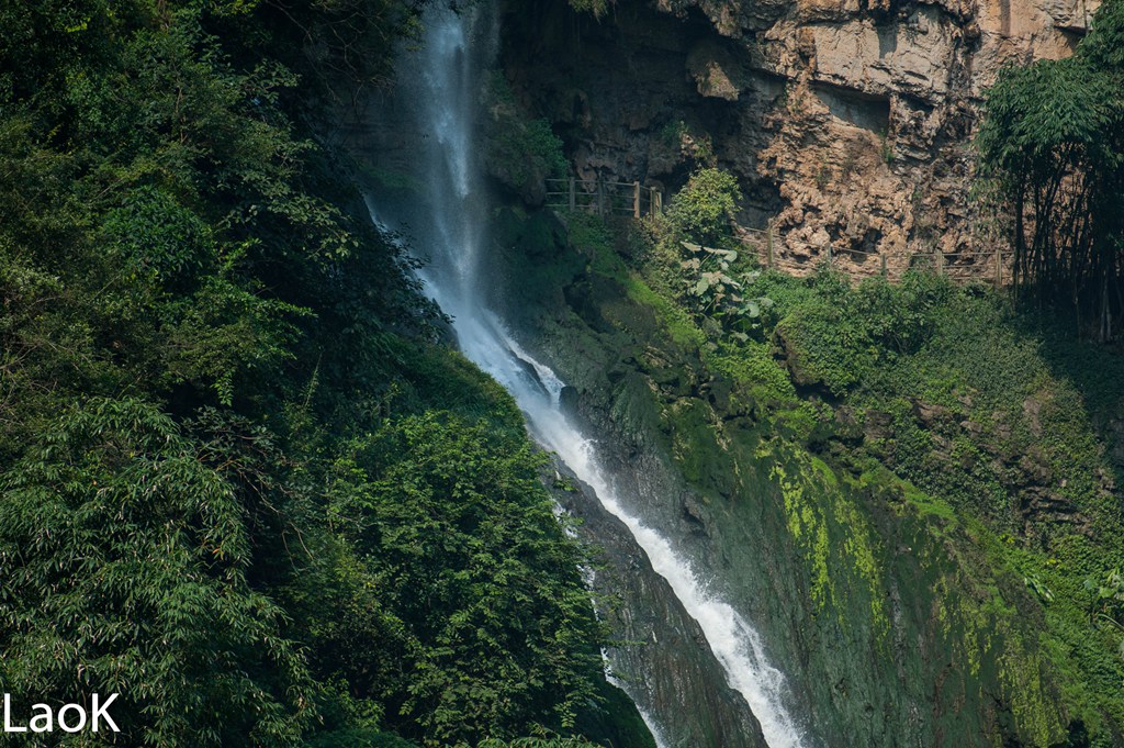 _DSC7845-1.jpg