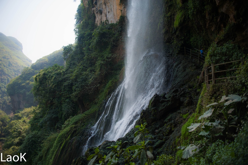 _DSC7900-1.jpg