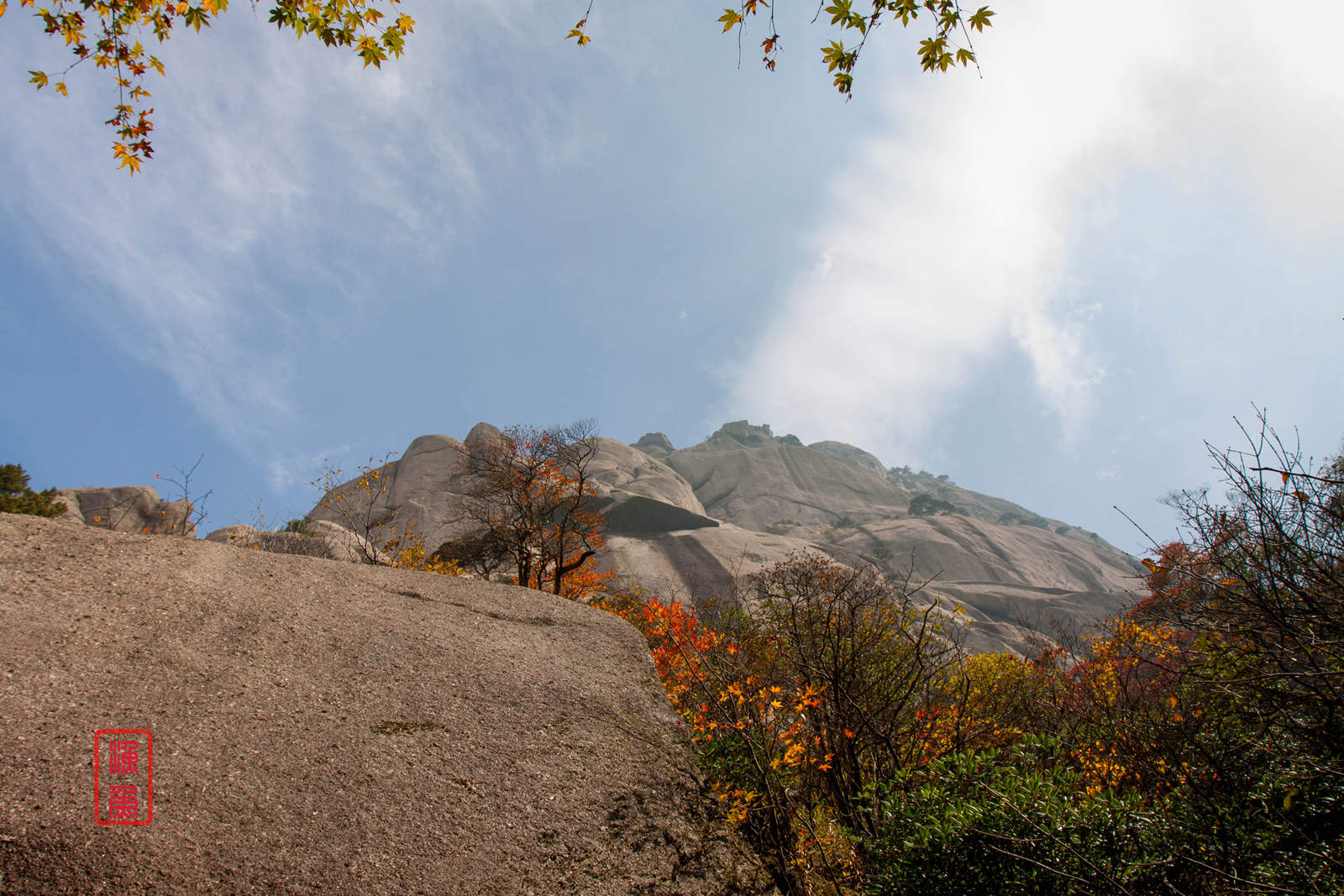 _MG_0170_.jpg