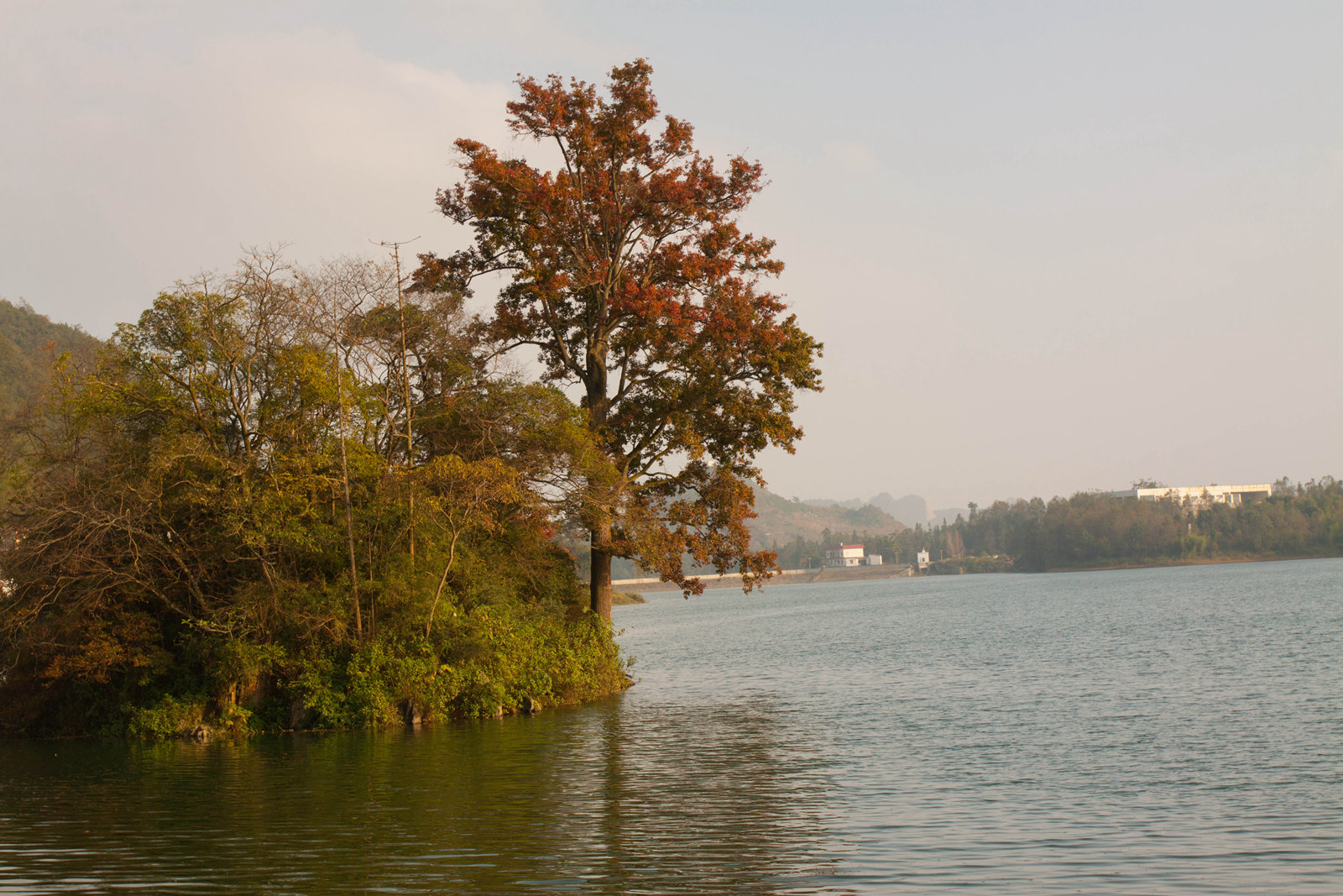 _MG_0079.jpg