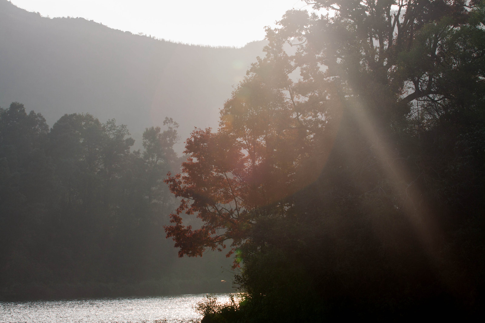 _MG_0085.jpg