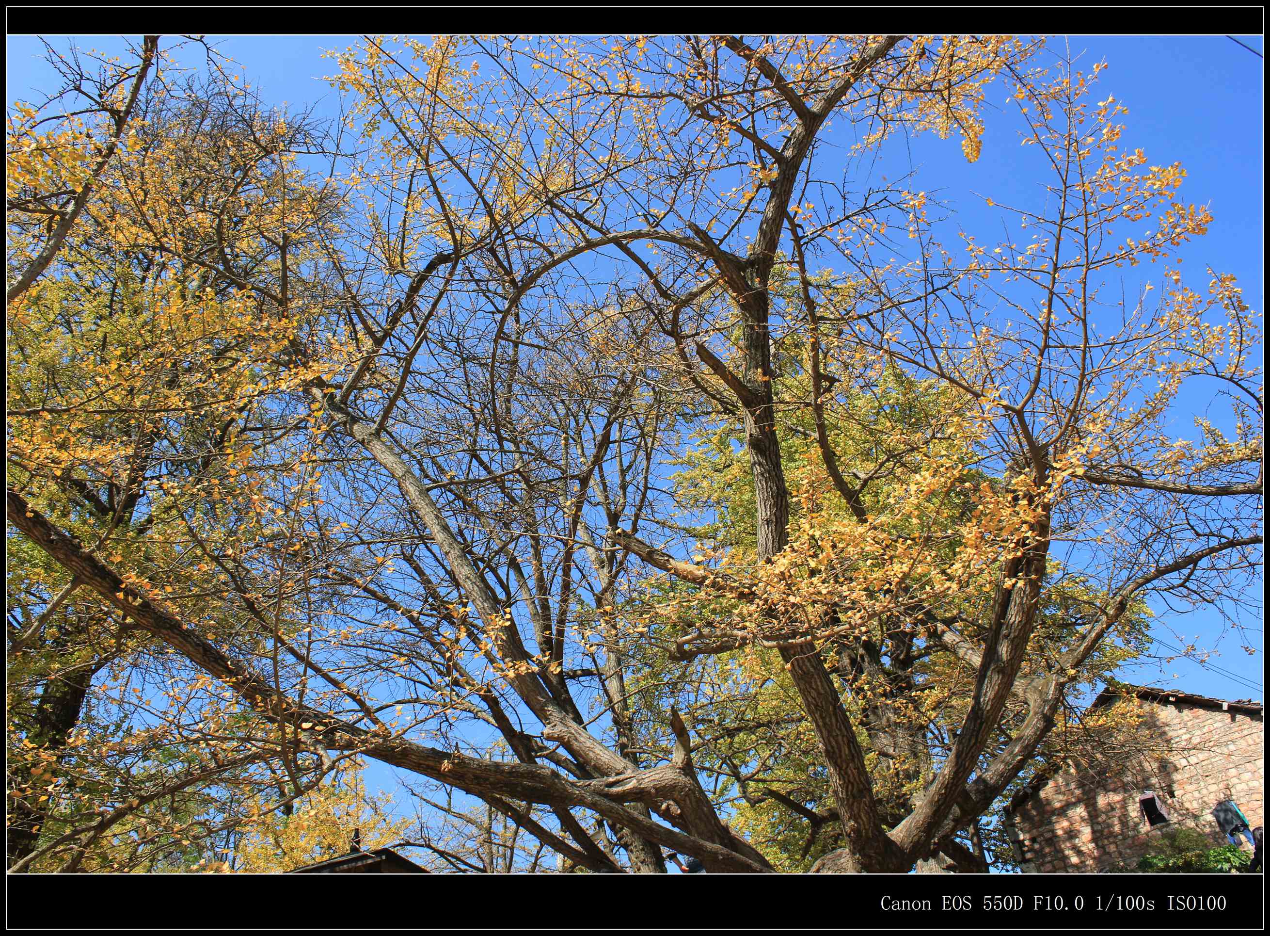 IMG_8366.jpg