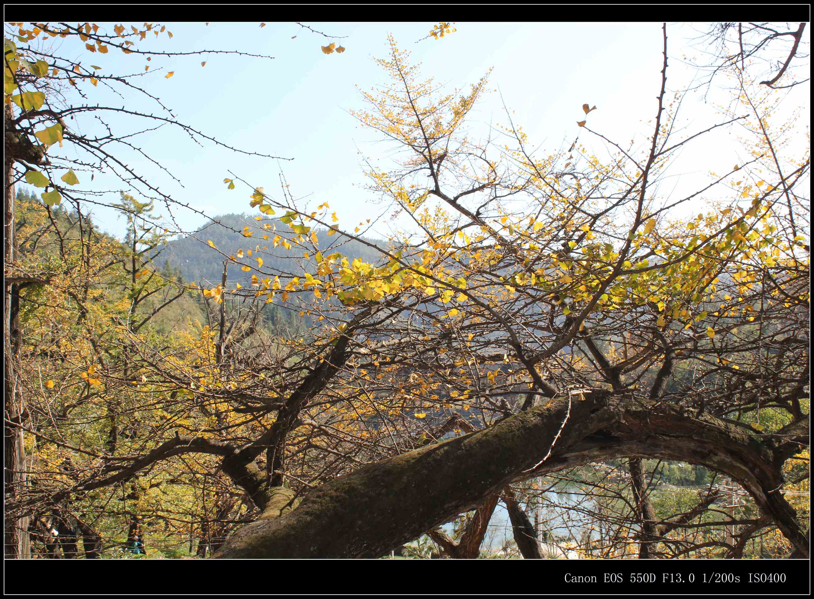 IMG_8544.jpg