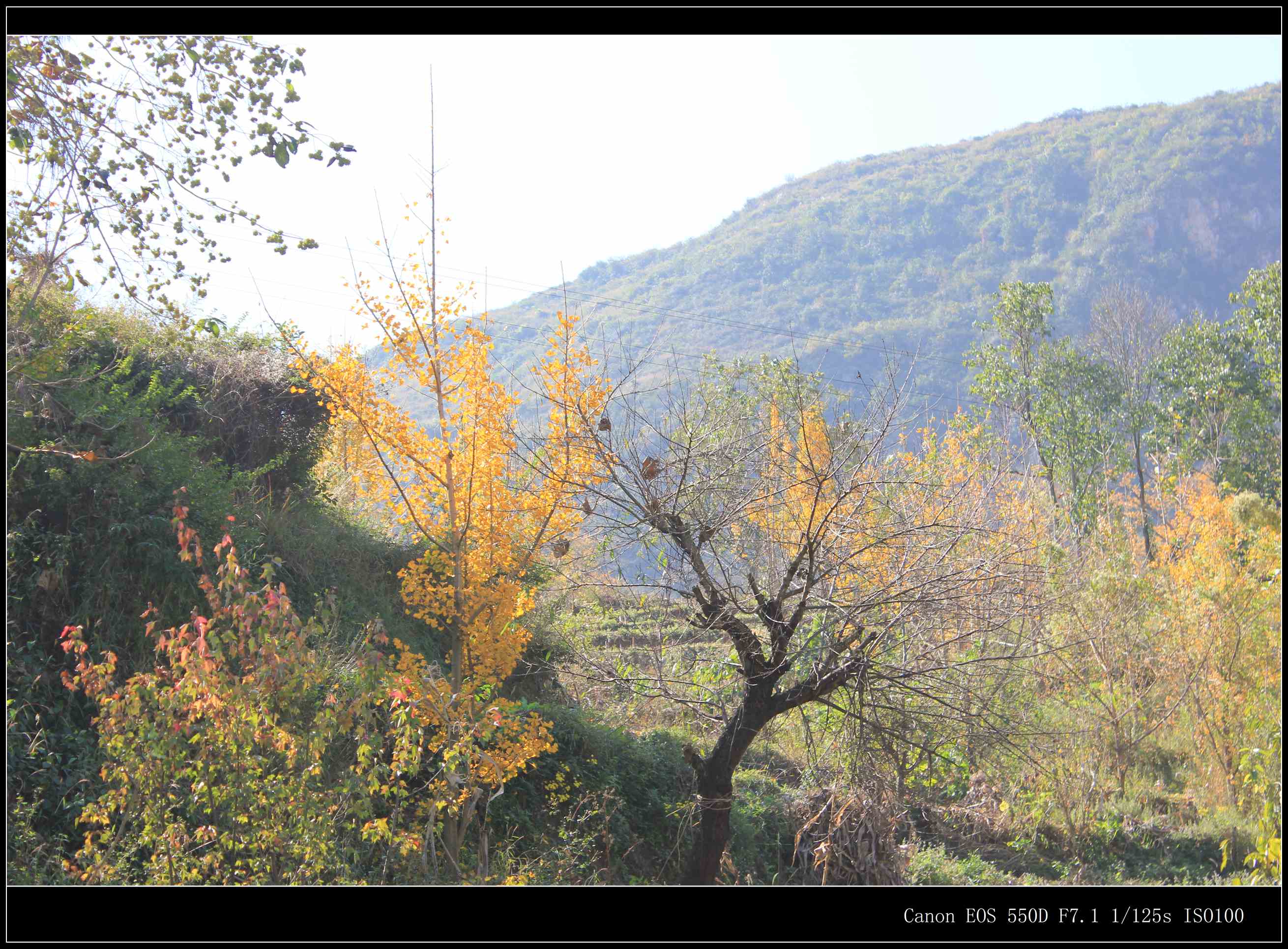 IMG_8351.jpg
