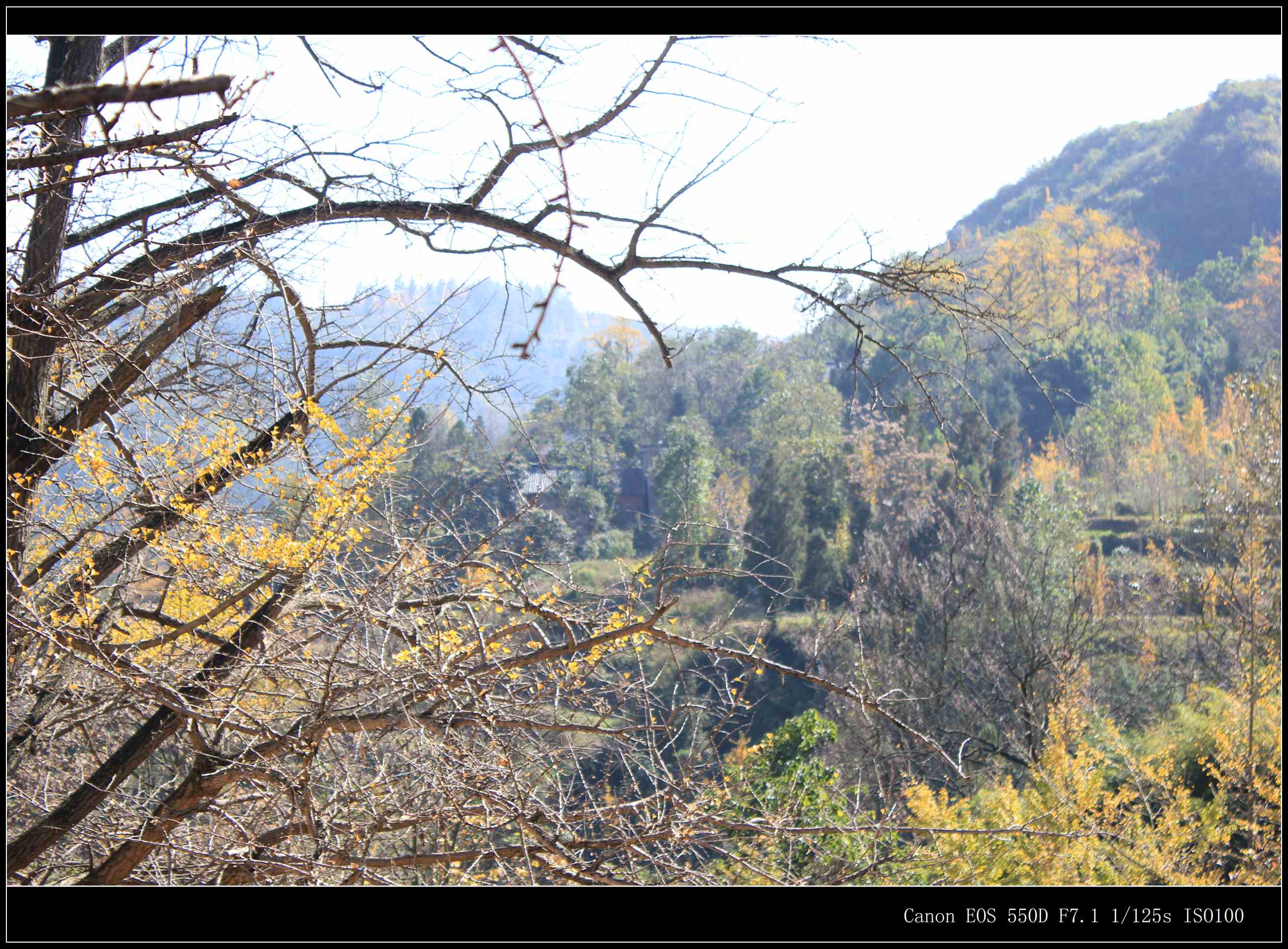 IMG_8504.jpg