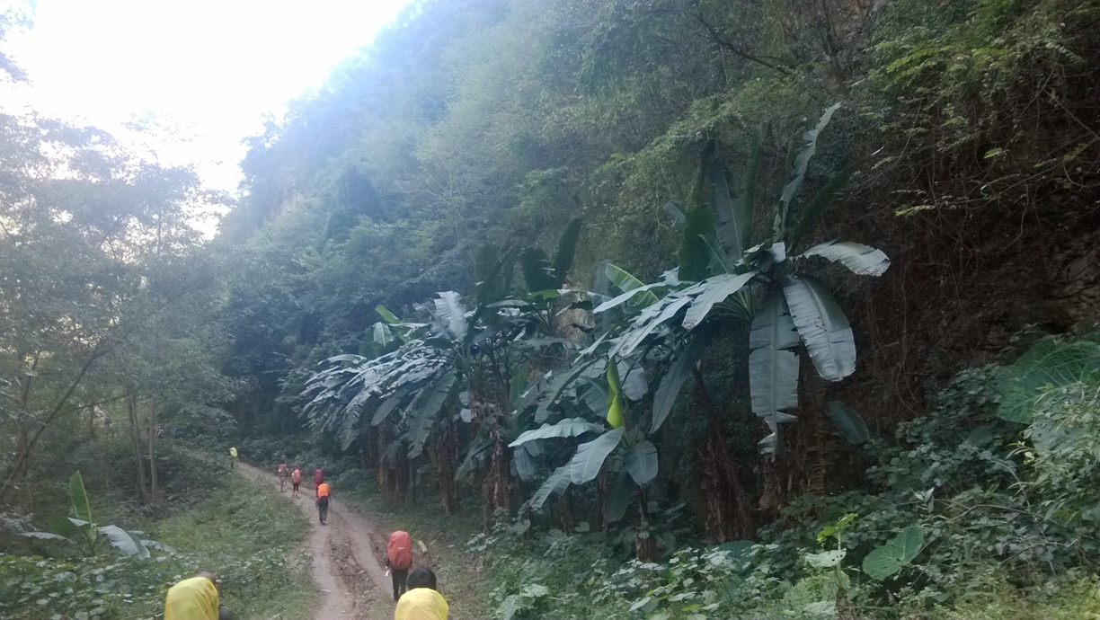 IMG_20131109_130918.jpg