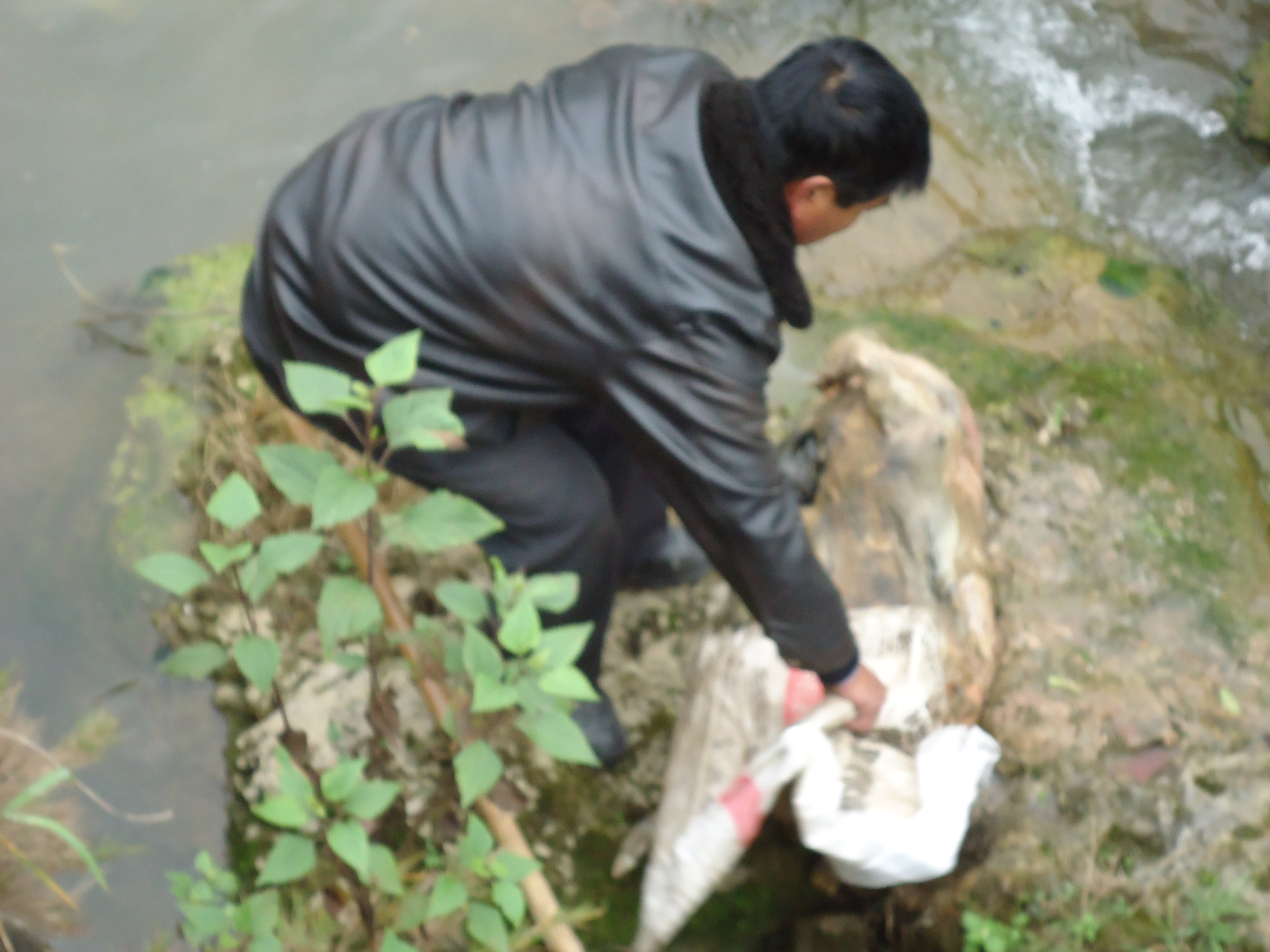 DSC02155.JPG