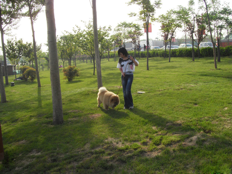 02.jpg