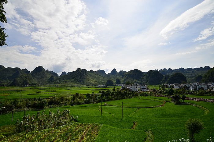 DSC_0239.jpg