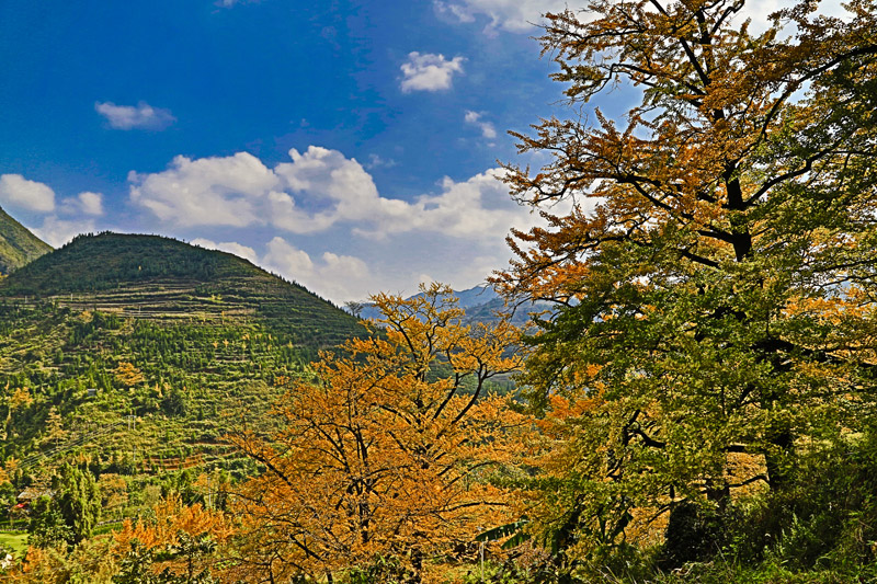 1_T5A0380.jpg