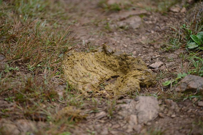 DSC_7960.jpg
