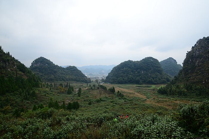 DSC_8234.jpg