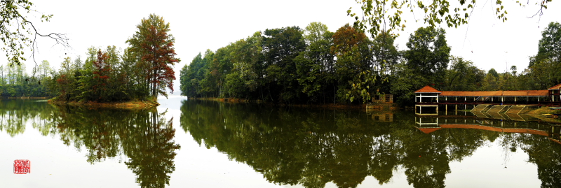 DPP_0318.JPG